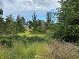 596 Blue Wing Loop SE