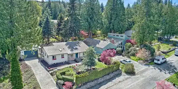 4822 Fir Tree