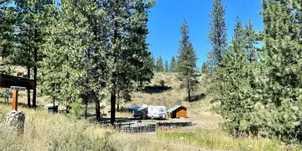 46 Chokecherry