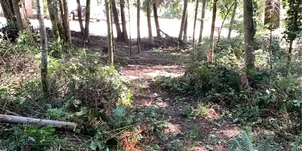0 Walden Loop