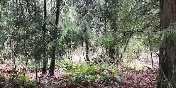 0 Cain Lake Rd