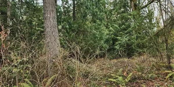 0 Vacant Land