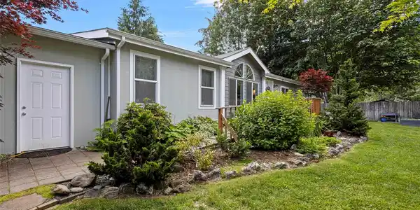 467 Vine Maple