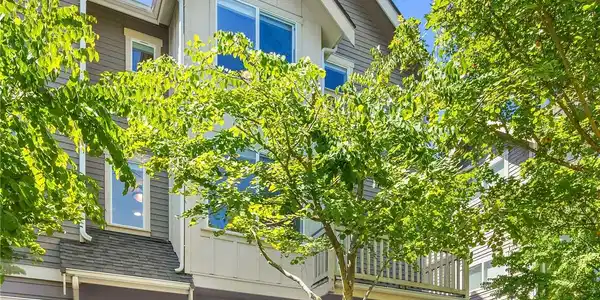 3603 Albion N