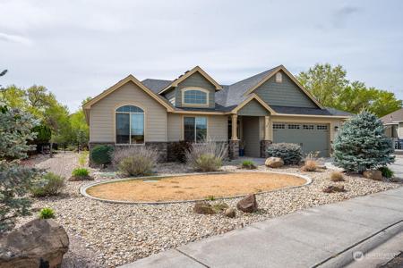709 Lupine