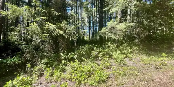 10408 Narrows
