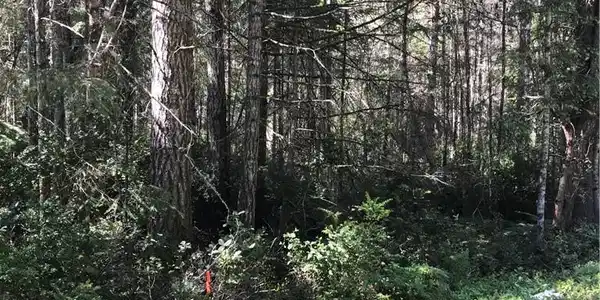 0 E Phillips Lake Road