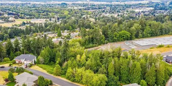7 Forest Hills Estates