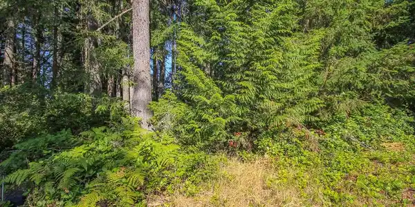 20 E Willapa Road