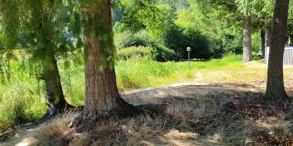 655 Cain Lake