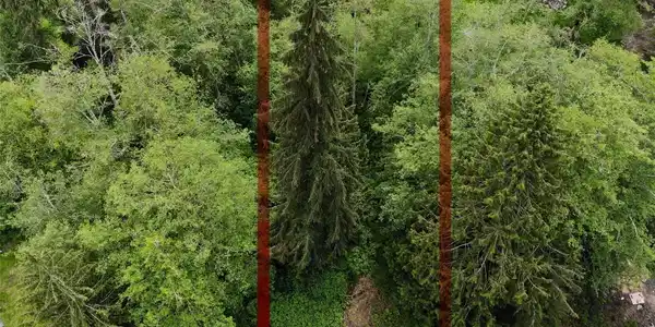 0 Cedar