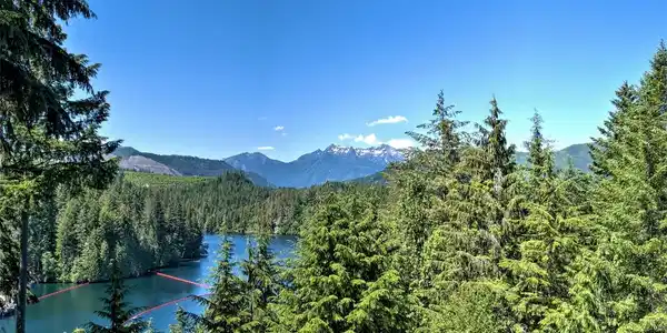 390 Kokanee Ridge