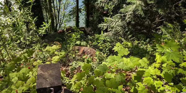 1124 Lake Whatcom