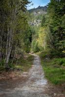 0 Lake Wenatchee Hwy