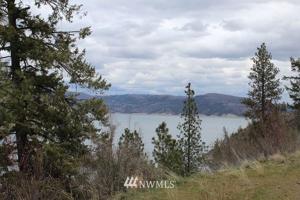 39410 Bluff Overlook Point N