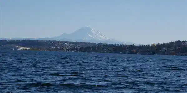 9050 Seward Park S