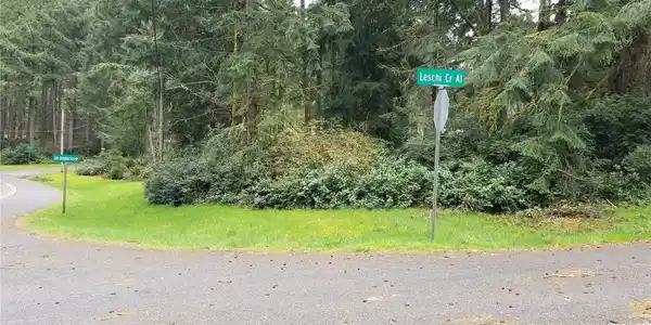 11429 Leschi