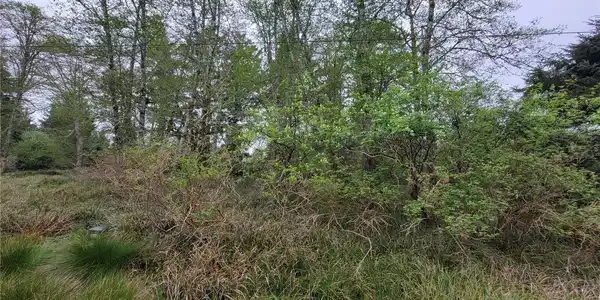 Image 3 Image 3