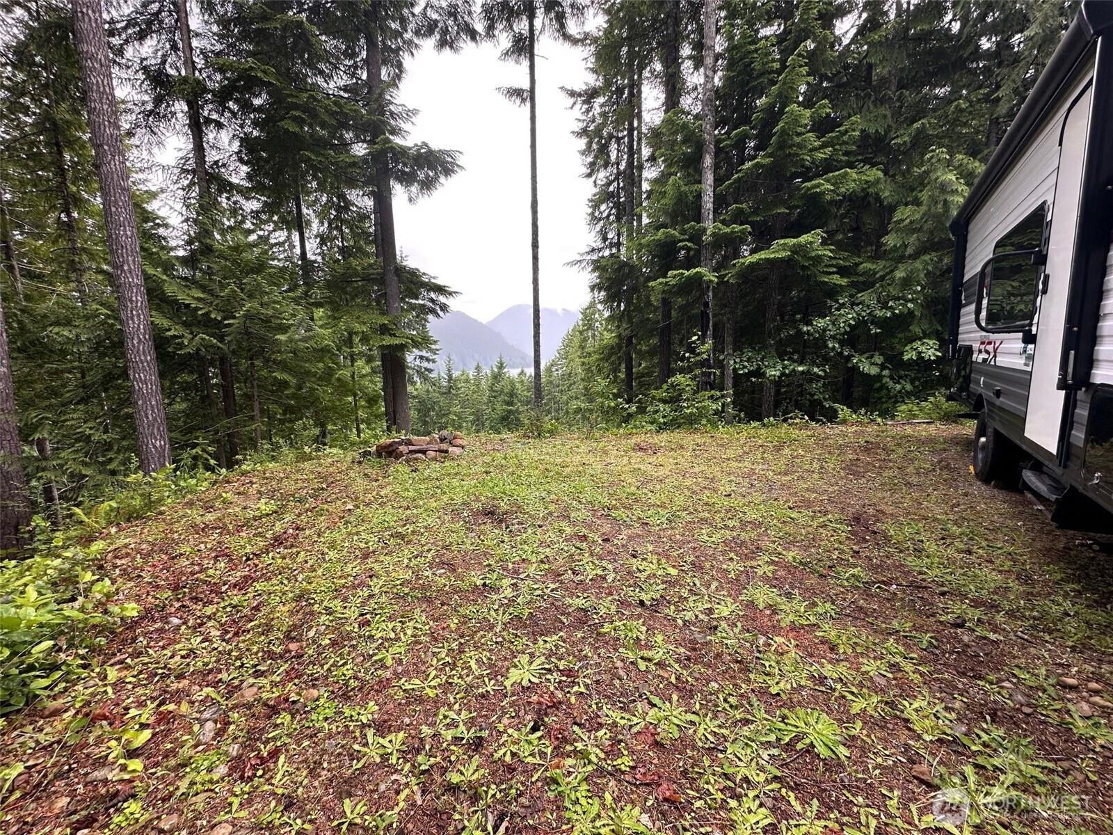 Image 4 Image 4