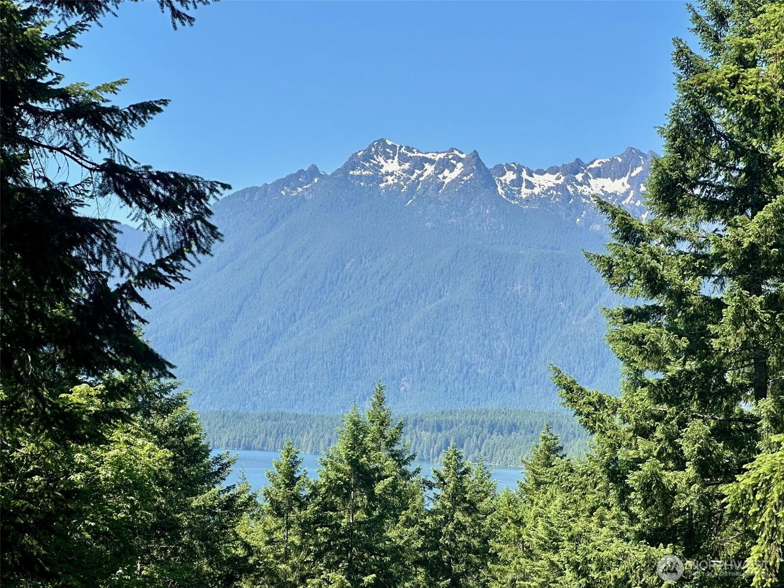 Image 1 Image 1