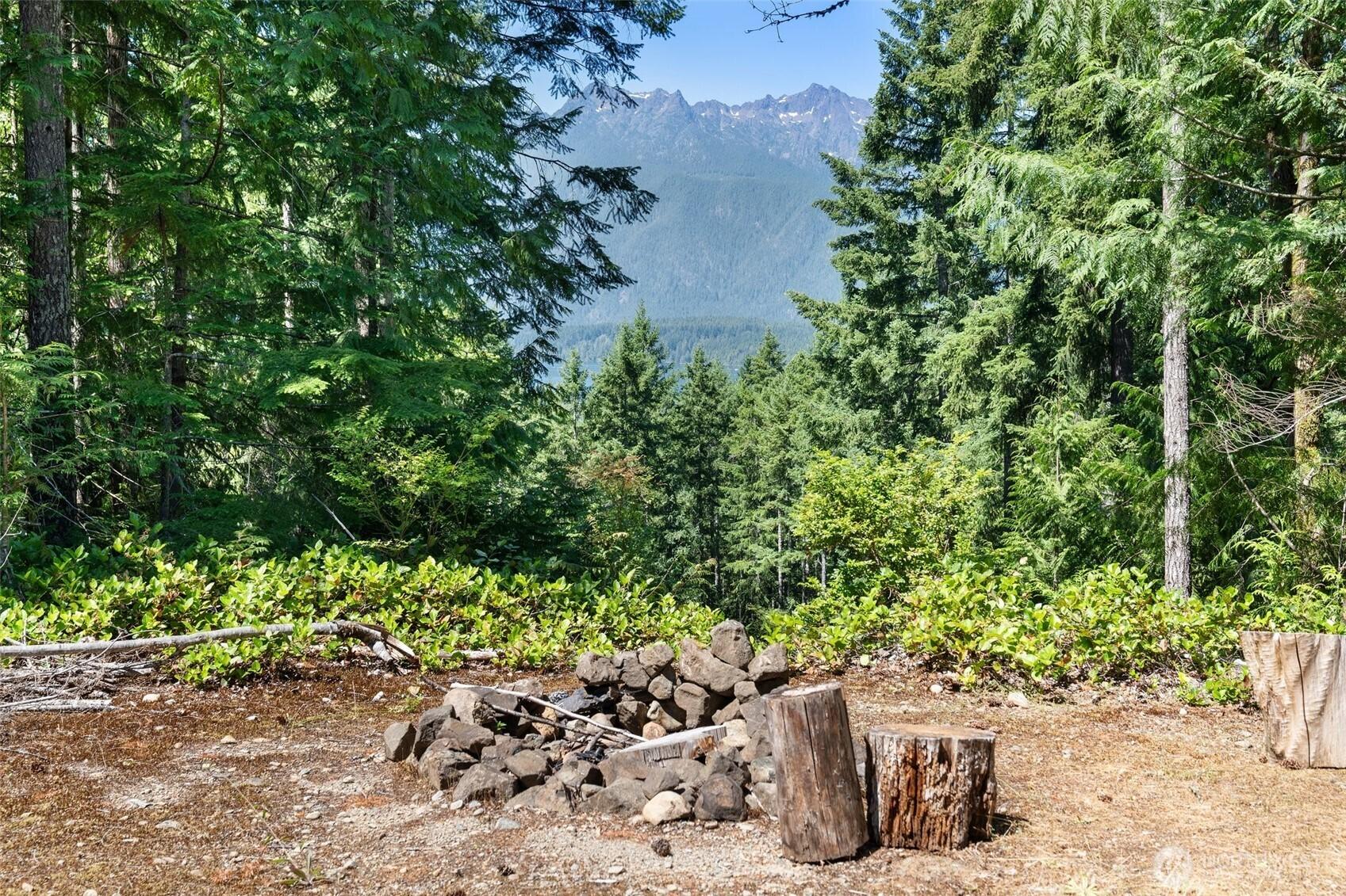 Image 4 Image 4