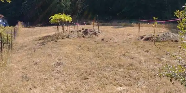 3 Long Lake SE