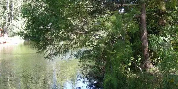 440 Lakeshore