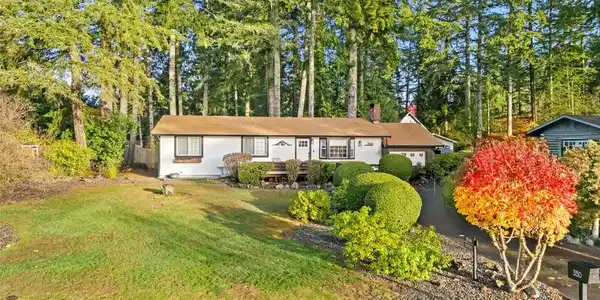 350 Mountain View