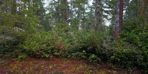 Image 4 Image 4