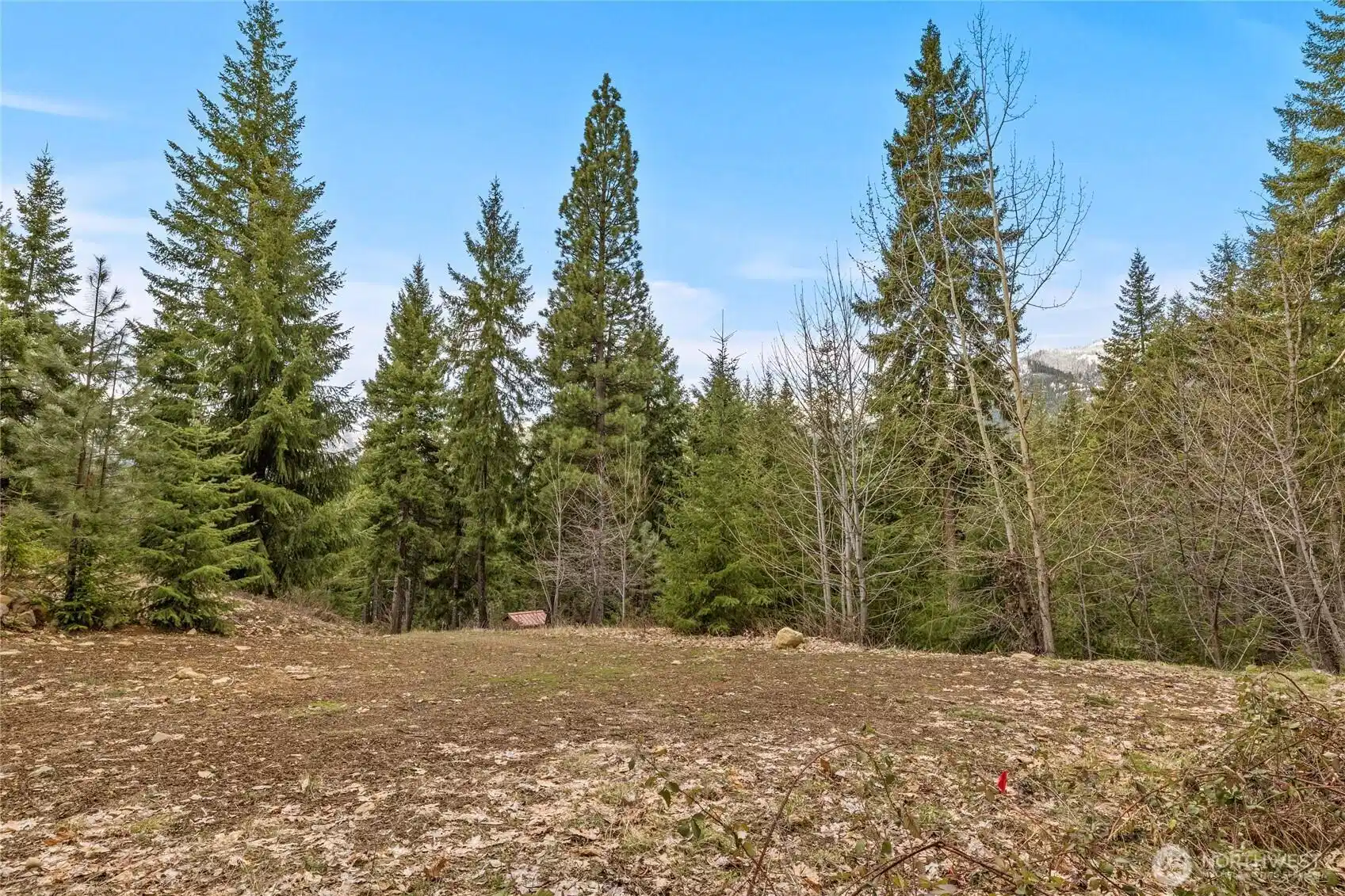 Image 1 Image 1