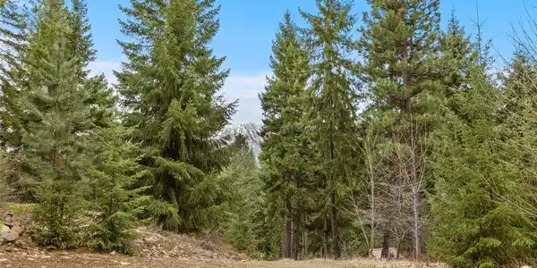 Image 4 Image 4