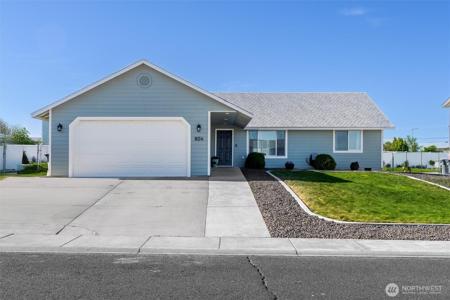 804 Windrose