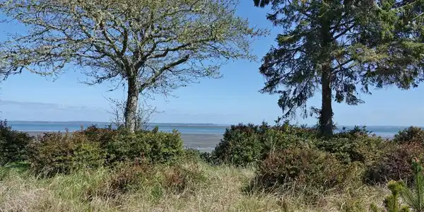 Image 4 Image 4