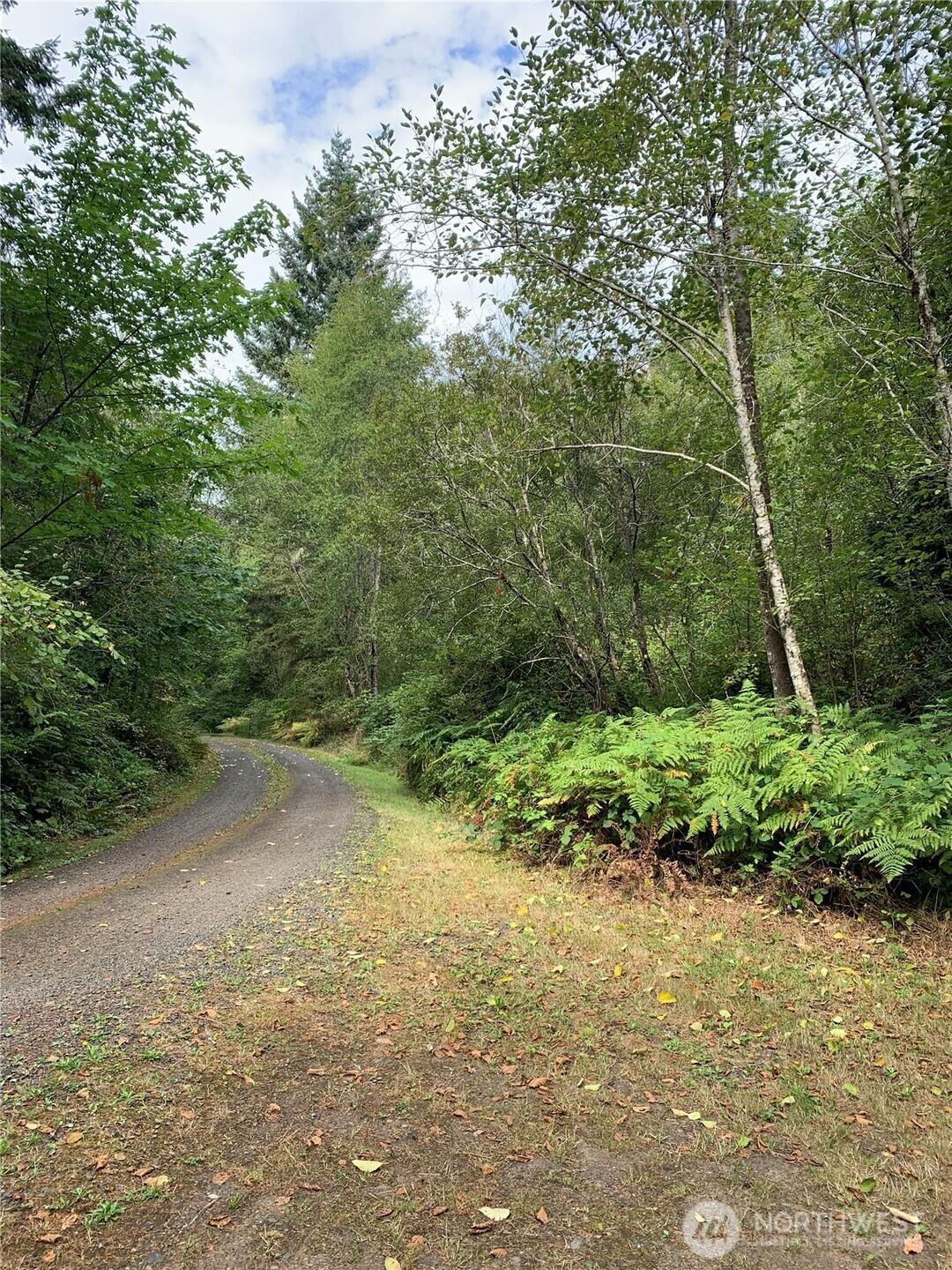 Image 3 Image 3