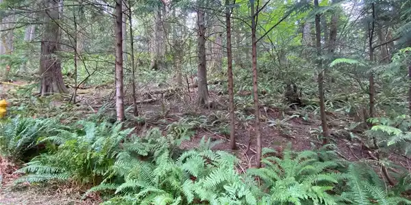 16 Hillside