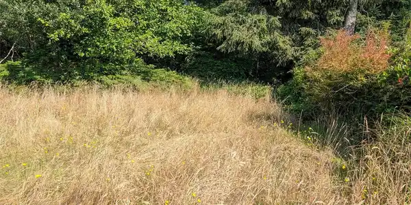 Image 3 Image 3