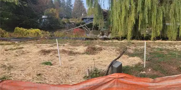 1996 Chico NW