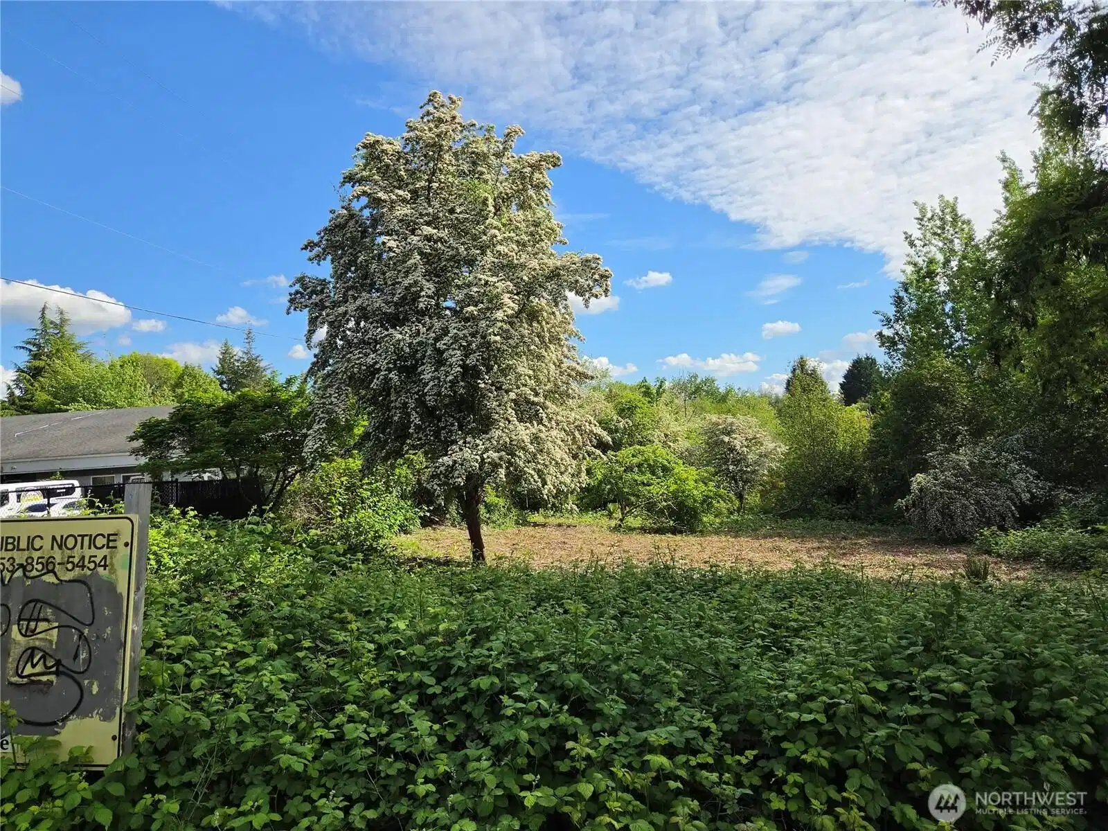 Image 1 Image 1