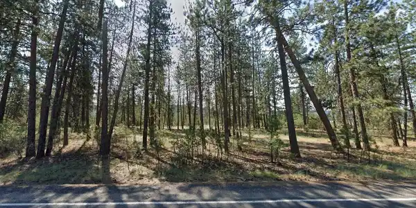 7293 Highway 291