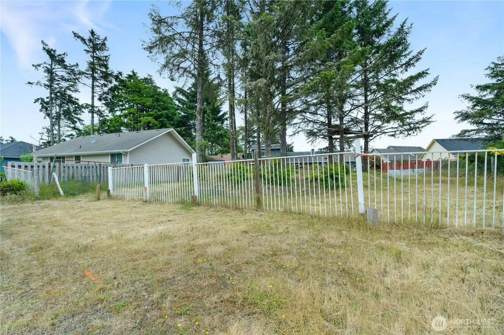 Image 1 Image 1