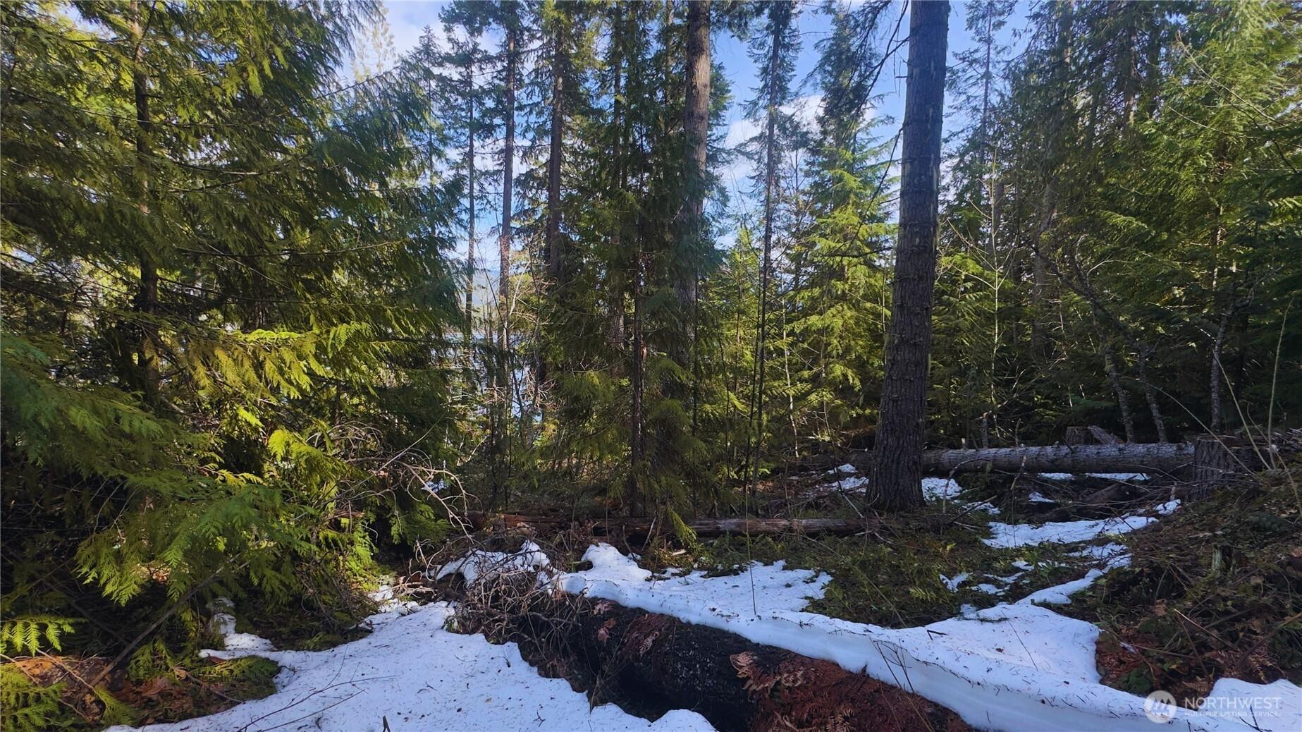 Image 3 Image 3