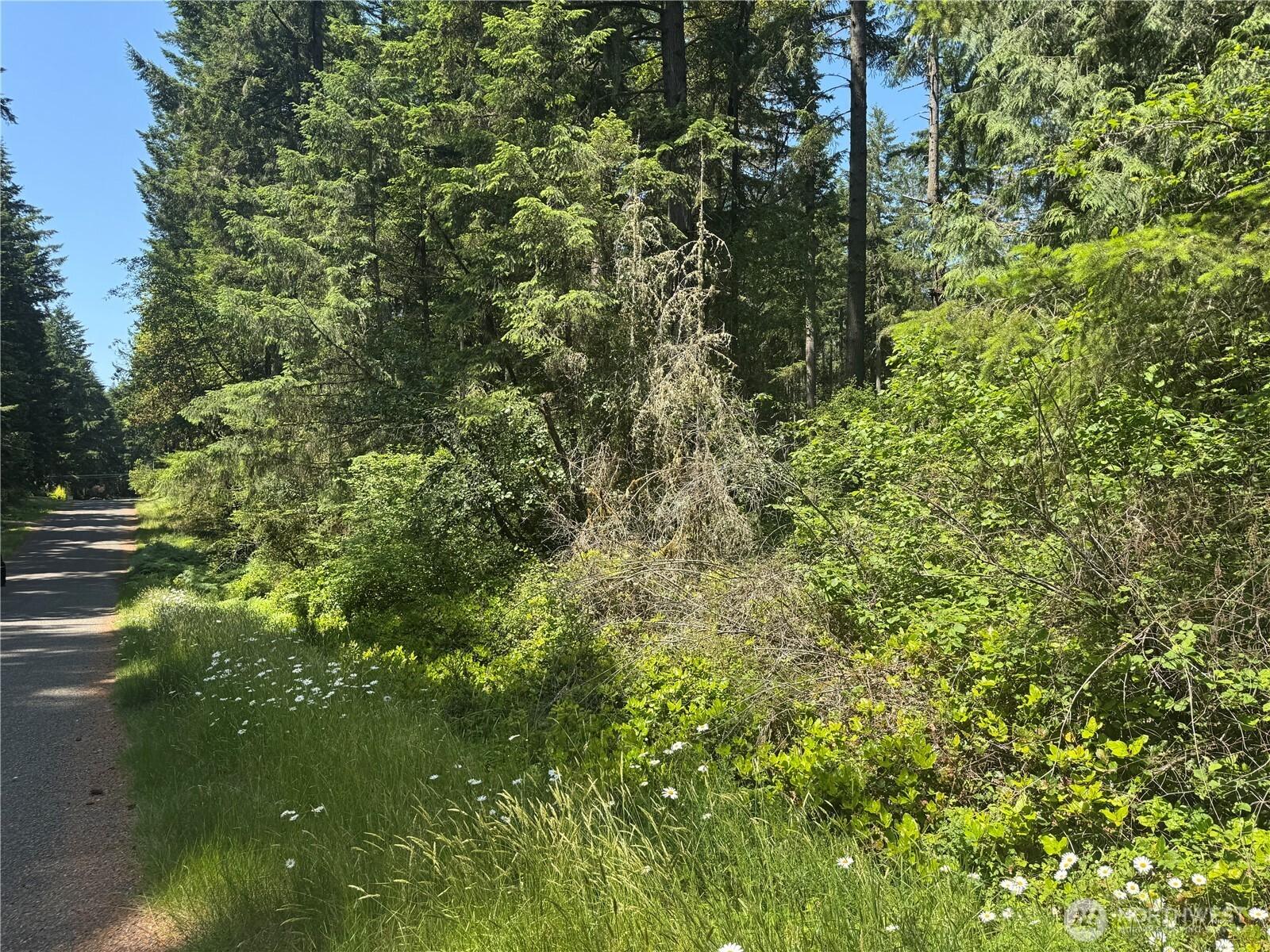 Image 4 Image 4