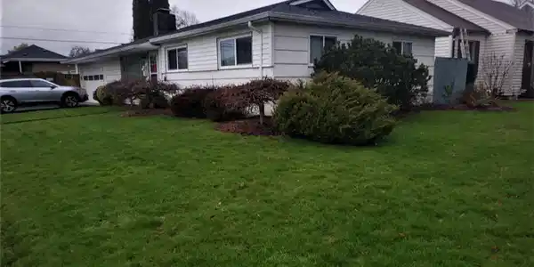 2306 Cypress