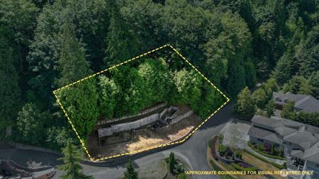 2678 Strawberry Shore