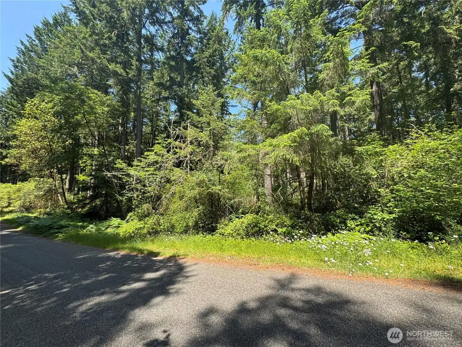 Image 1 Image 1