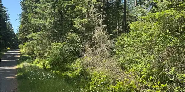 Image 4 Image 4