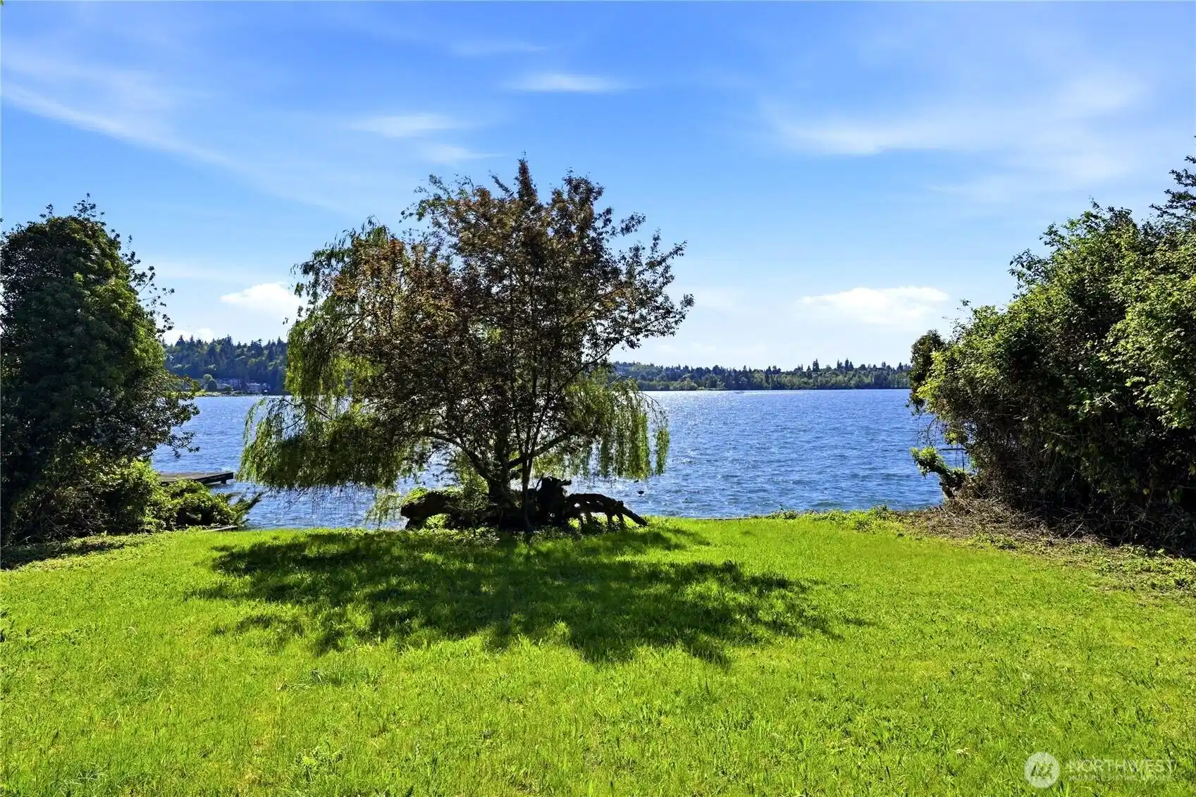 Image 1 Image 1