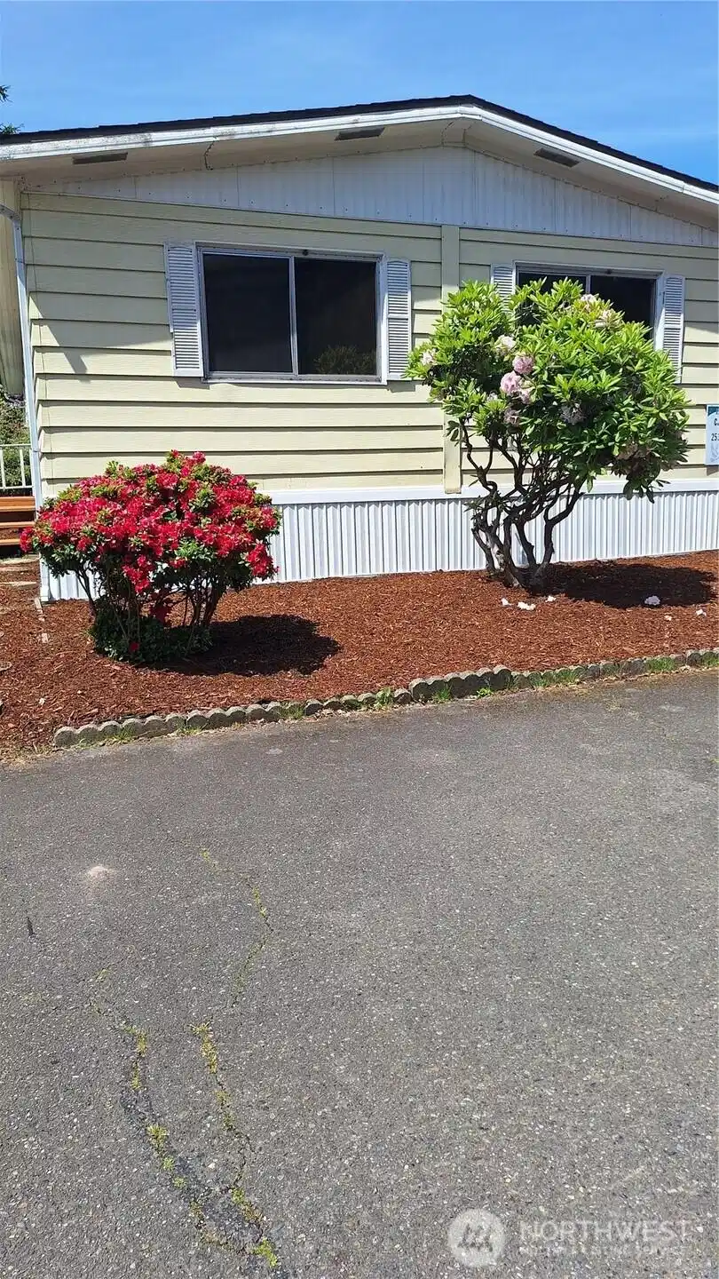 Image 1 Image 1
