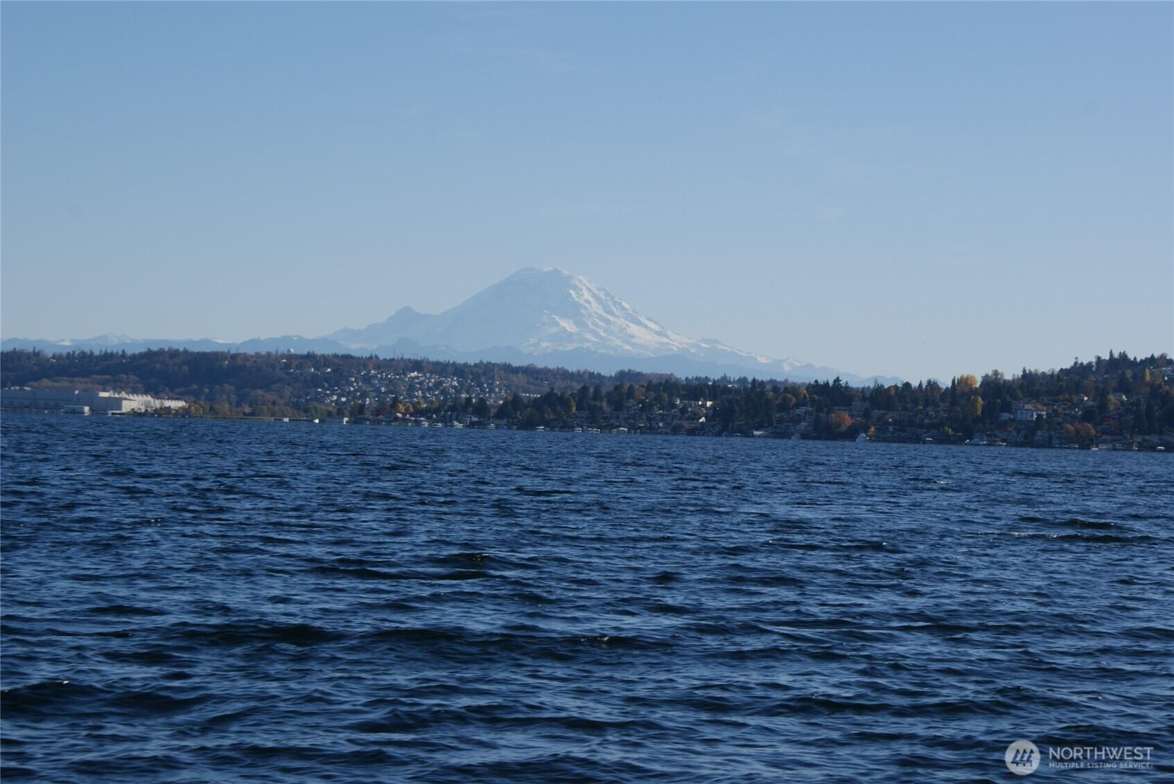 Image 4 Image 4