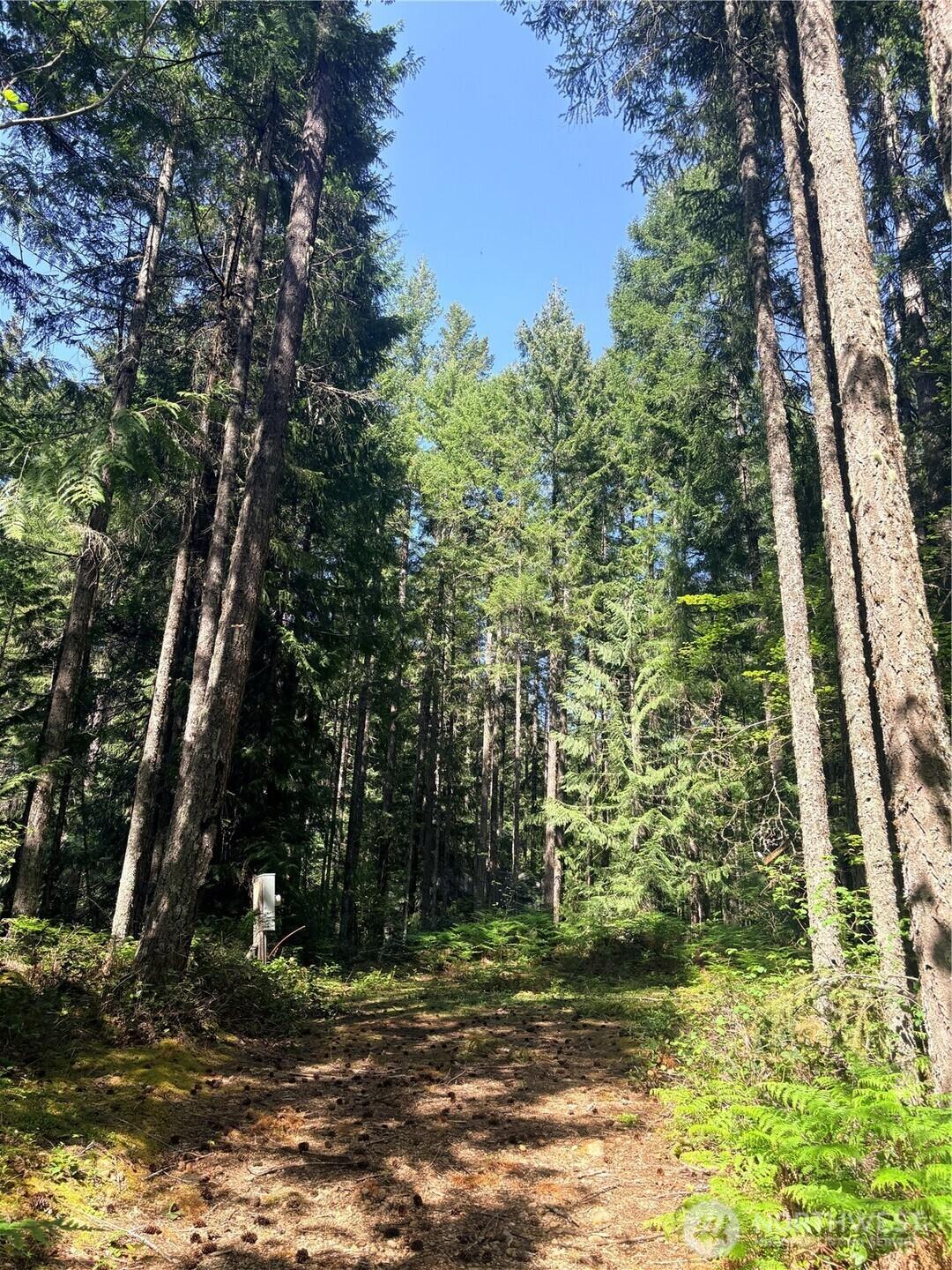 Image 1 Image 1